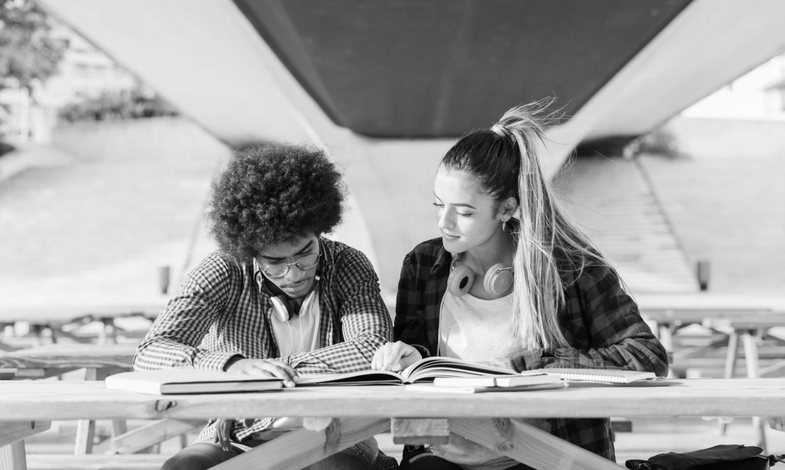 Environnement d'apprentissage professionnel